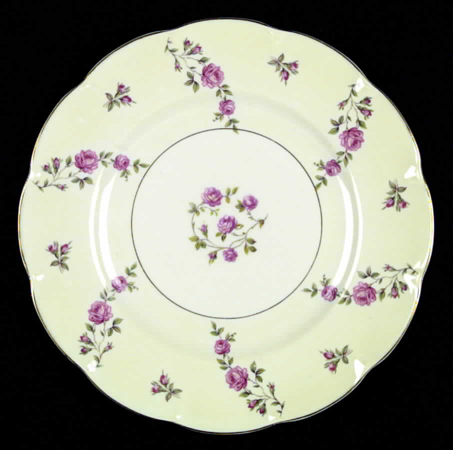 Delaware (France) Dinner Plate by Haviland-1