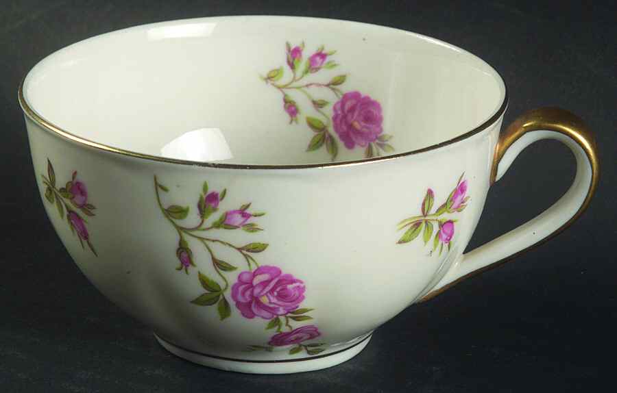 Delaware (France) Flat Cup by Haviland-1
