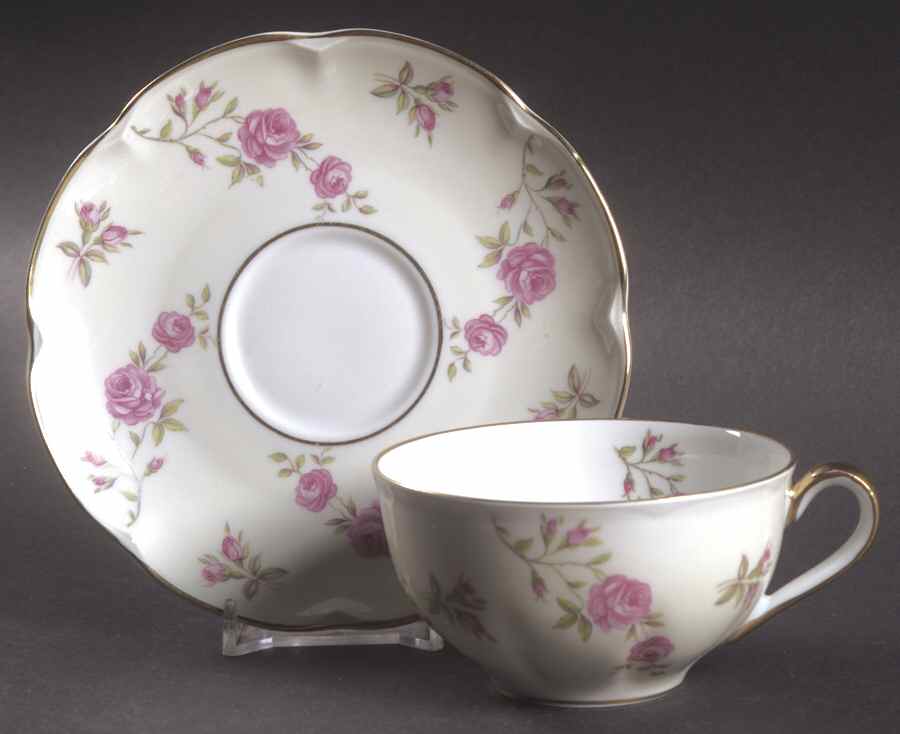 Delaware (France) Flat Cup & Saucer Set by Haviland-1