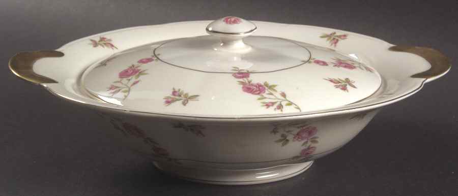Delaware (France) Round Covered Vegetable by Haviland-1