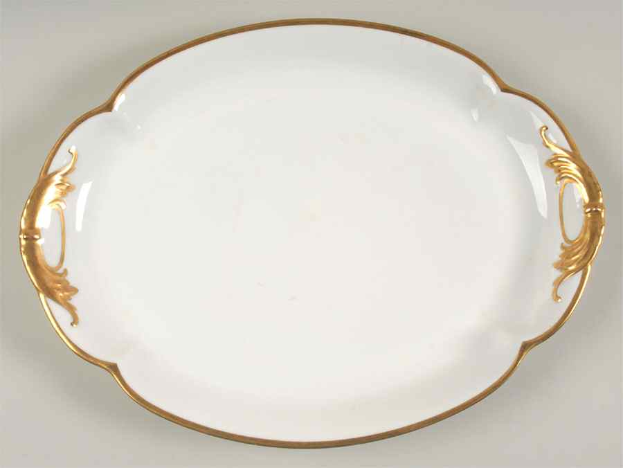 Donhoff 16" Oval Serving Platter by Haviland-1