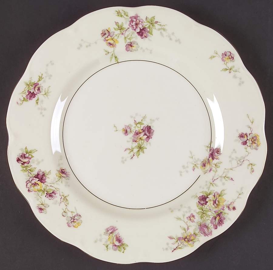Dorset Dinner Plate by Haviland-1