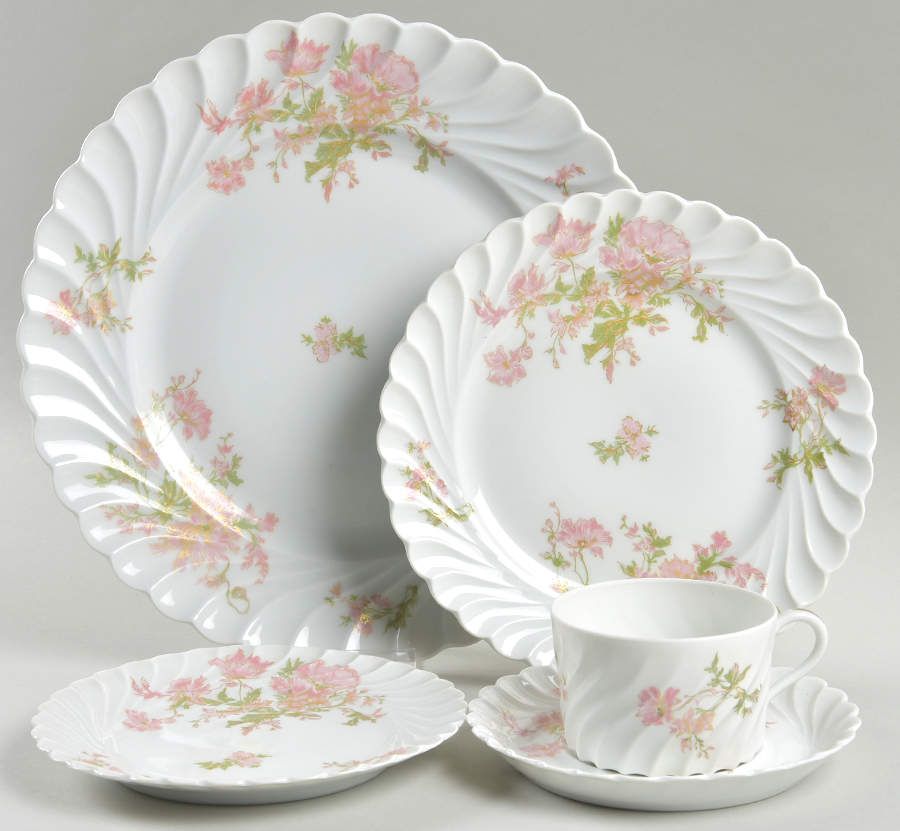 Dumont 5 Piece Place Setting by Haviland-1