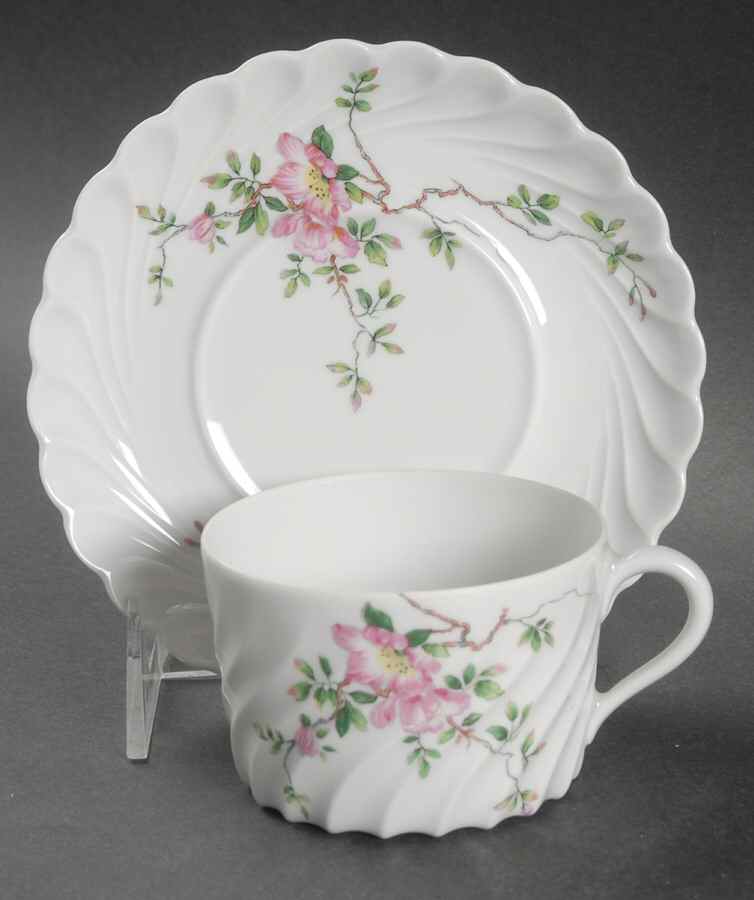 Eglantine Flat Cup & Saucer Set by Haviland-1
