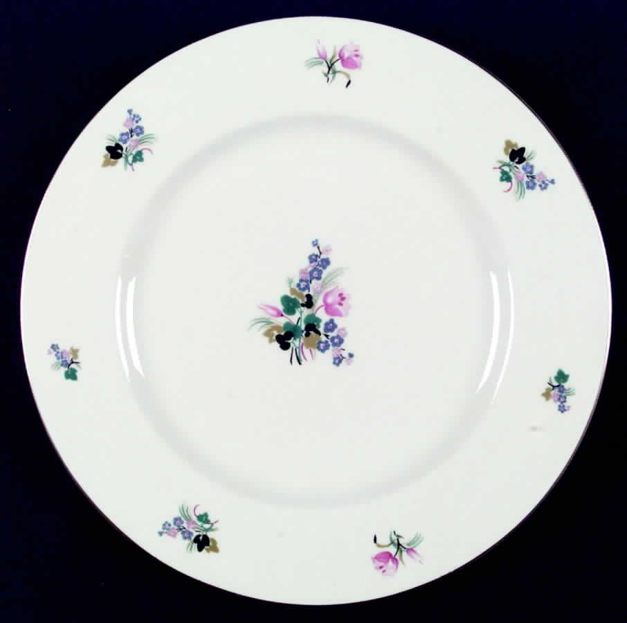 Ellwood Dinner Plate by Haviland-1