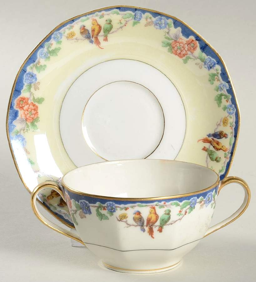Enchantment (Birds) Flat Bouillon Cup & Saucer by Haviland-1