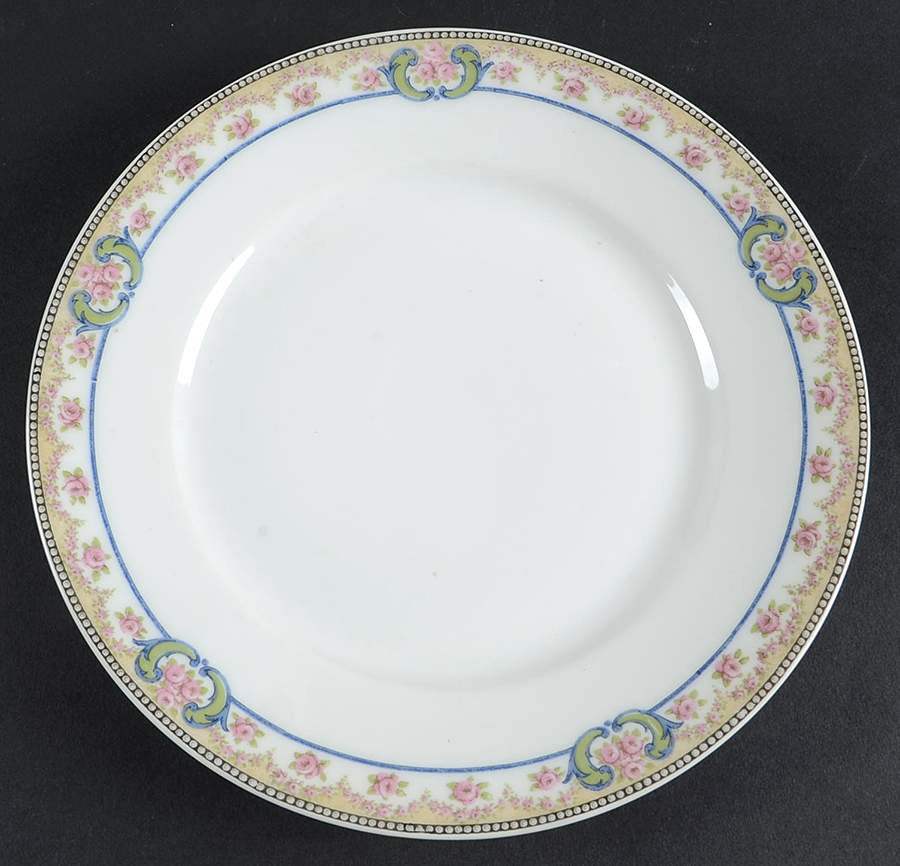 Essex Luncheon Plate by Haviland-1