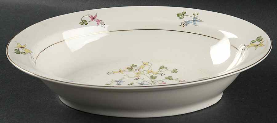 Festival 9" Oval Vegetable Bowl by Haviland-1