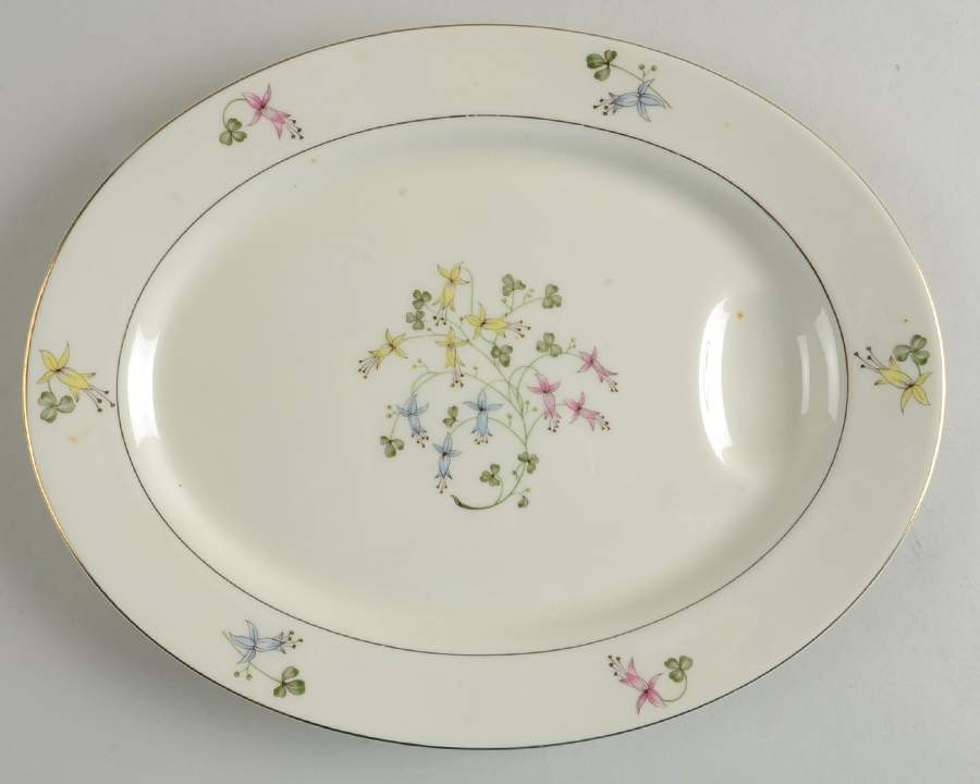 Festival 11" Oval Serving Platter by Haviland-1