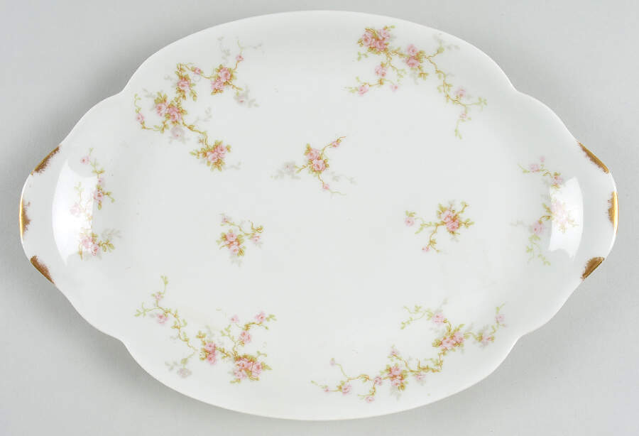 Florida 11" Oval Serving Platter by Haviland-1