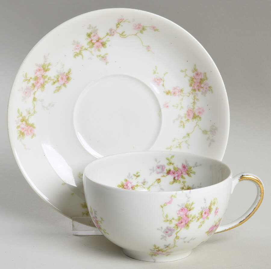 Florida Flat Cup & Saucer Set by Haviland-1
