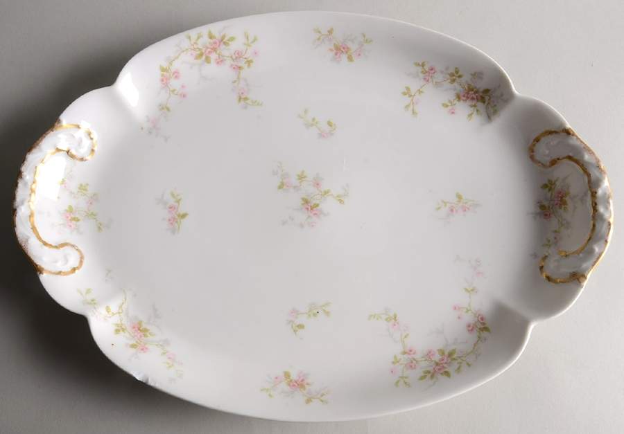 Florida 15" Oval Serving Platter by Haviland-1