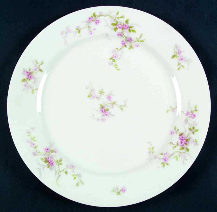Florida Dinner Plate by Haviland-1