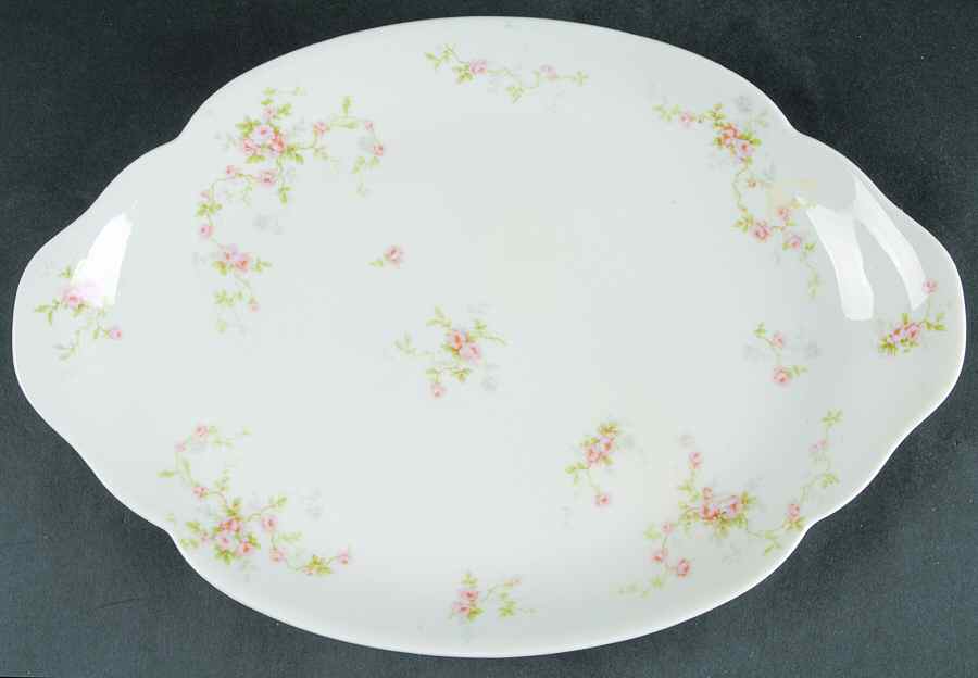 Florida 14" Oval Serving Platter by Haviland-1