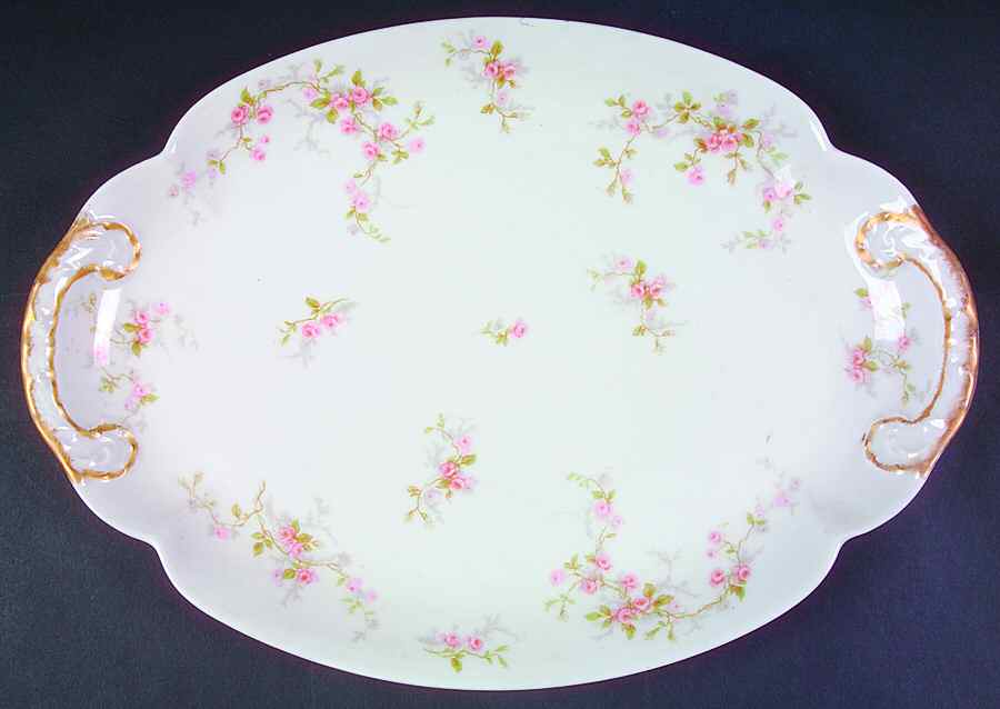 Florida 13" Oval Serving Platter by Haviland-1