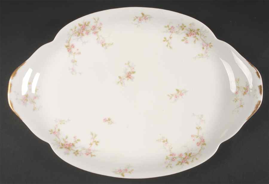 Florida 15" Oval Serving Platter by Haviland-1