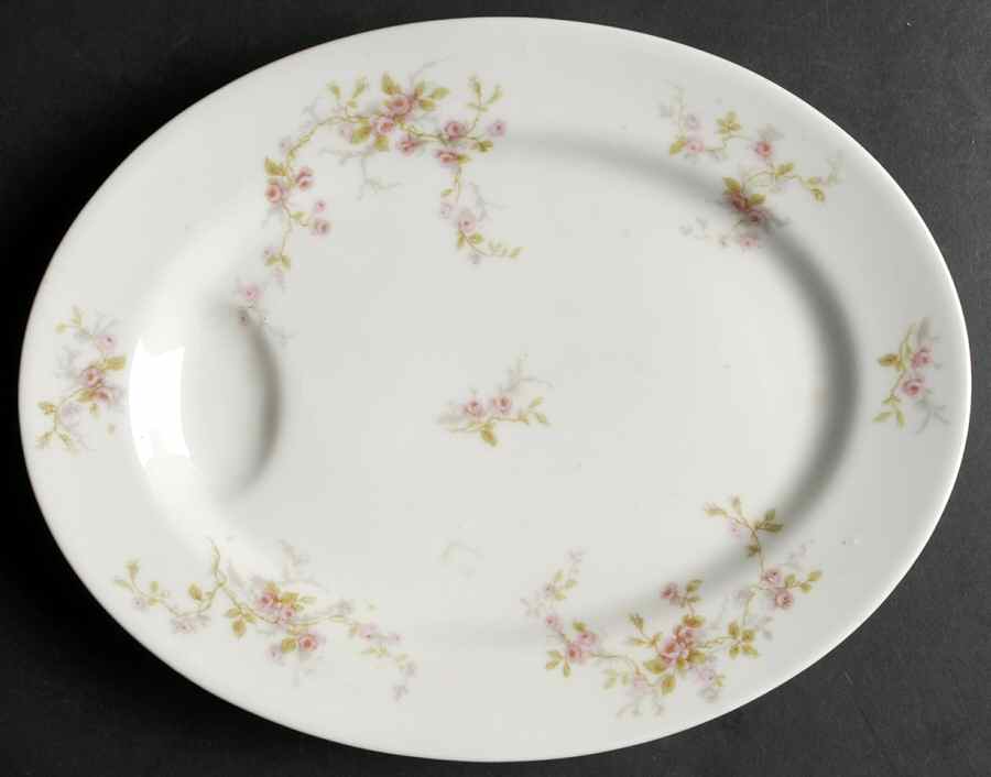 Florida 11" Oval Serving Platter by Haviland-1