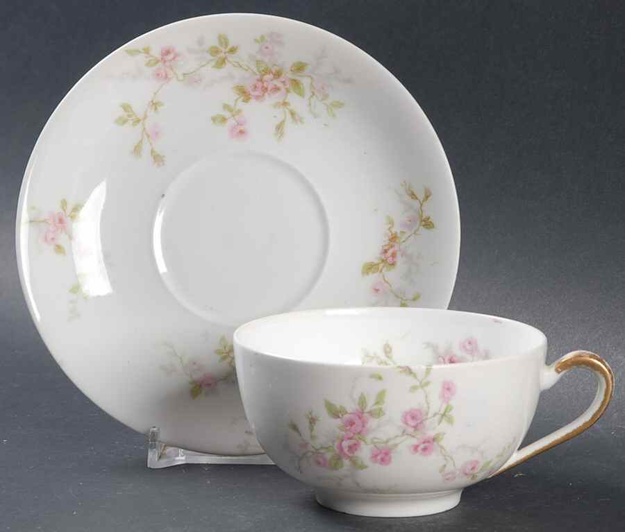 Florida Flat Cup & Saucer Set by Haviland-1