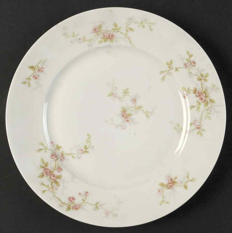 Florida Luncheon Plate by Haviland-1