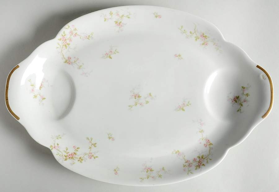 Florida 18" Oval Serving Platter by Haviland-1