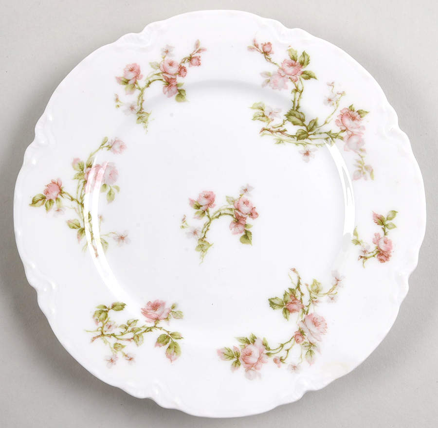 Frontenac (French) Salad Plate by Haviland-1