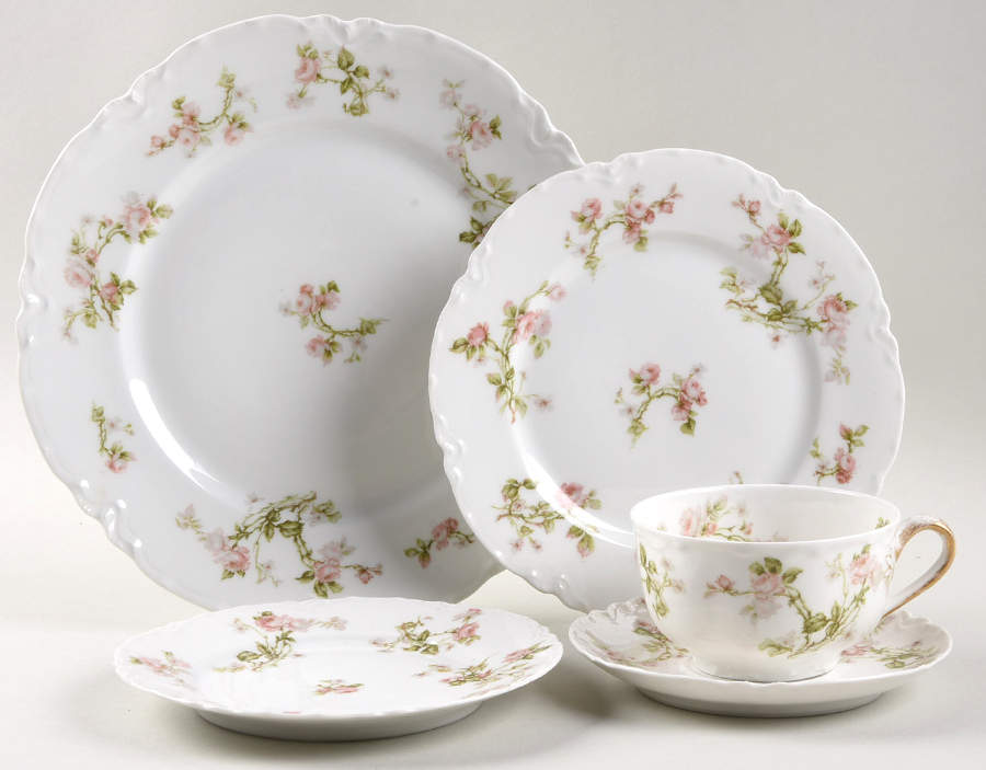 Frontenac (French) 5 Piece Place Setting by Haviland-1