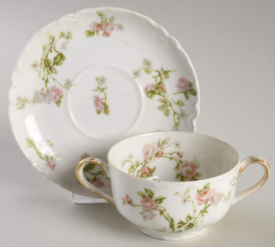 Frontenac (French) Flat Bouillon Cup & Saucer by Haviland-1