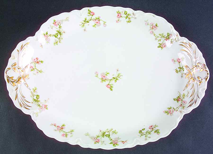Frontenac (French) 16" Oval Serving Platter by Haviland-1