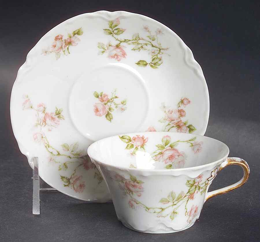 Frontenac (French) Flat Cup & Saucer Set by Haviland-1