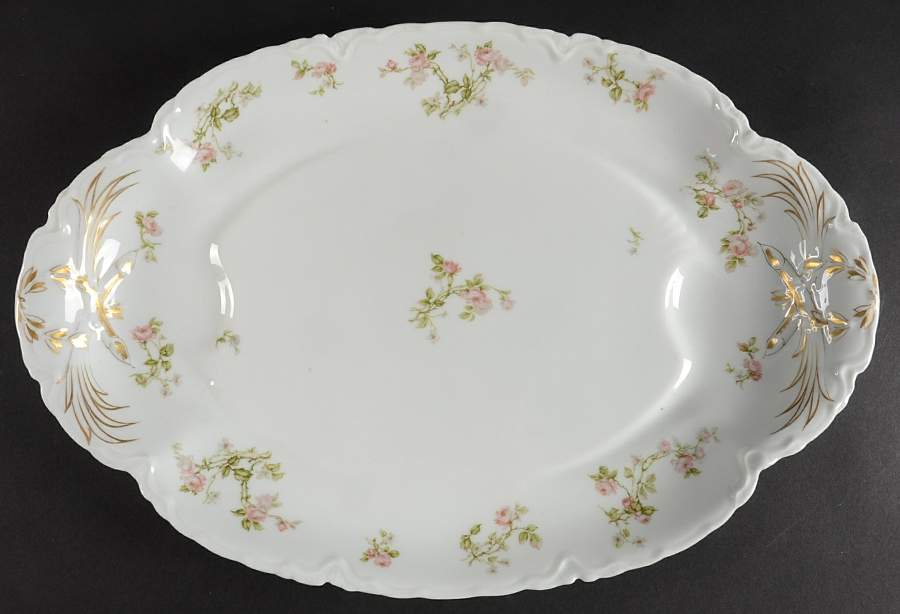 Frontenac (French) 17" Oval Platter with Well by Haviland-1