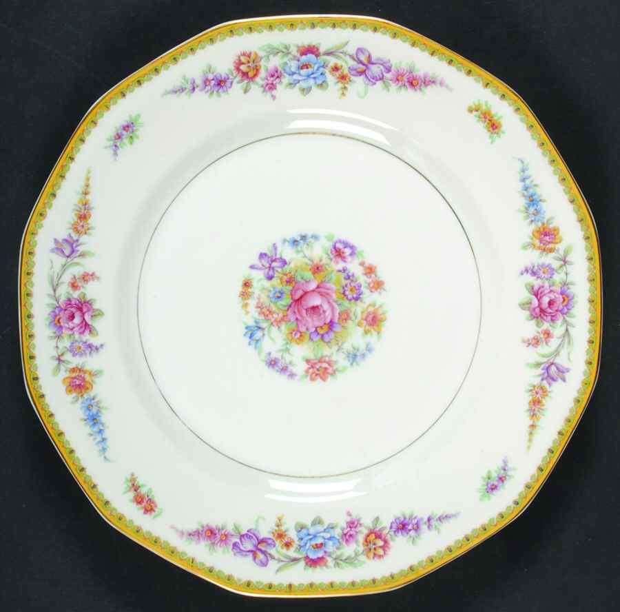 Frontenac (New York) Dinner Plate by Haviland-1