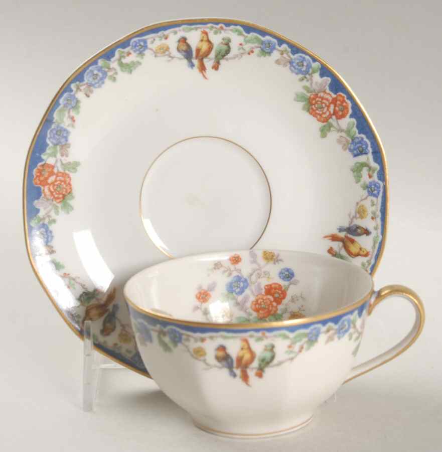 Garden of Allah Flat Cup & Saucer Set by Haviland-1