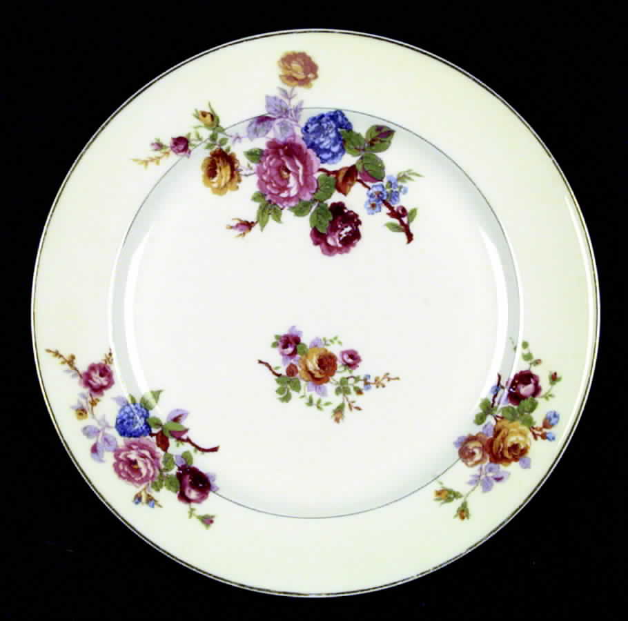 Garden (France) Dinner Plate by Haviland-1