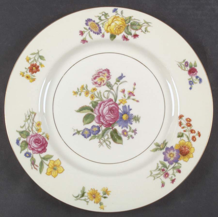 Glendale Dinner Plate by Haviland-1