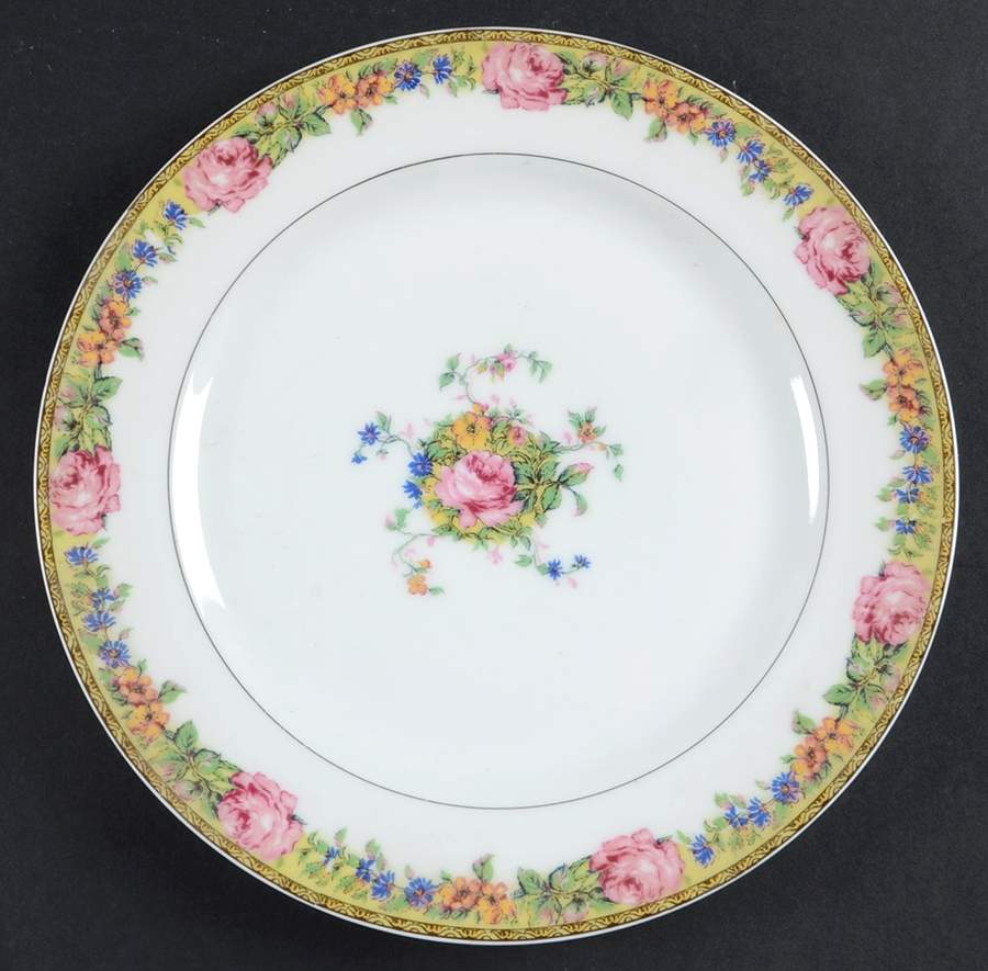 Gloria (France) Luncheon Plate by Haviland-1