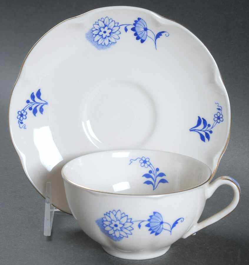 Gretna Flat Cup & Saucer Set by Haviland-1