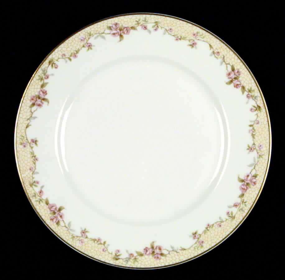 H10 Salad Plate by Haviland-1