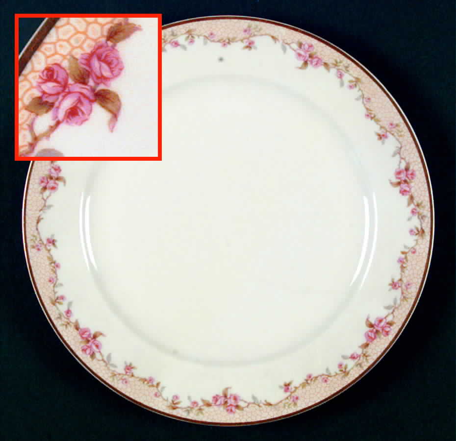 H10 Dinner Plate by Haviland-1