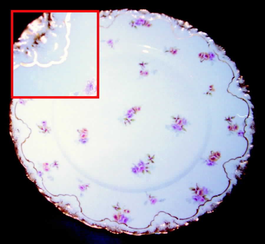 H104 Dinner Plate by Haviland-1