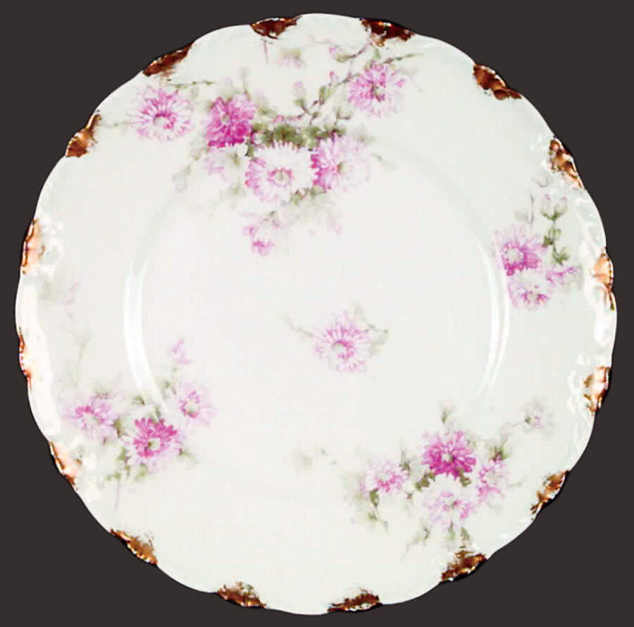 H113 Dinner Plate by Haviland-1