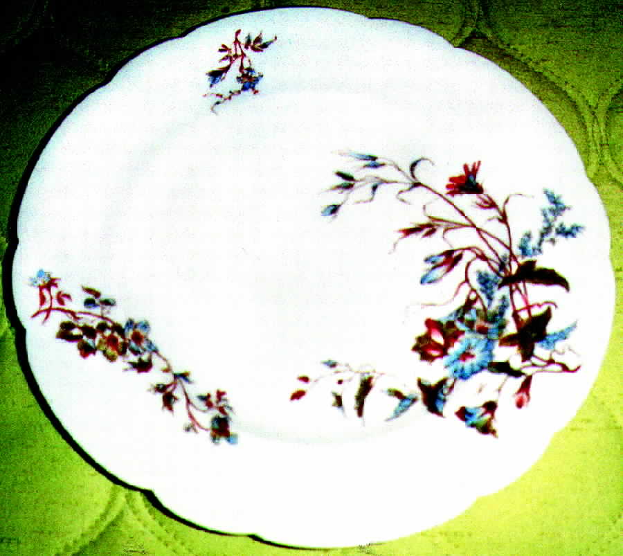 H118 Dinner Plate by Haviland-1