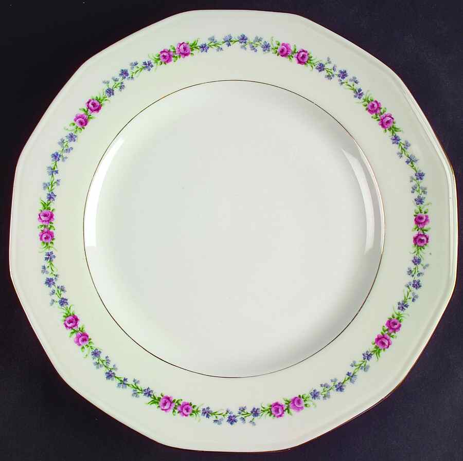 H119  Dinner Plate by Haviland-1