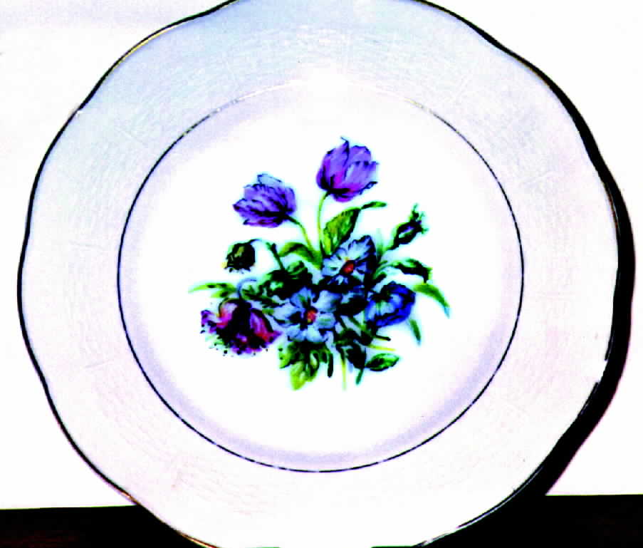 H120 Dinner Plate by Haviland-1