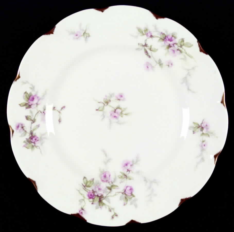 H126 Dinner Plate by Haviland-1