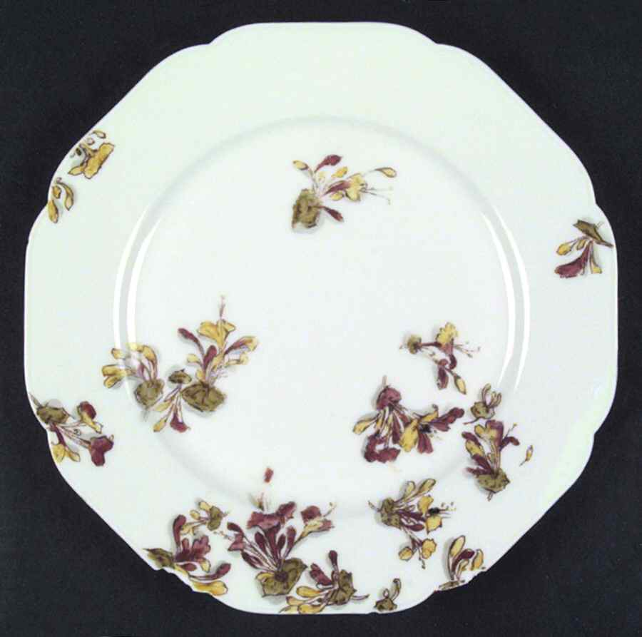 H134 Dinner Plate by Haviland-1