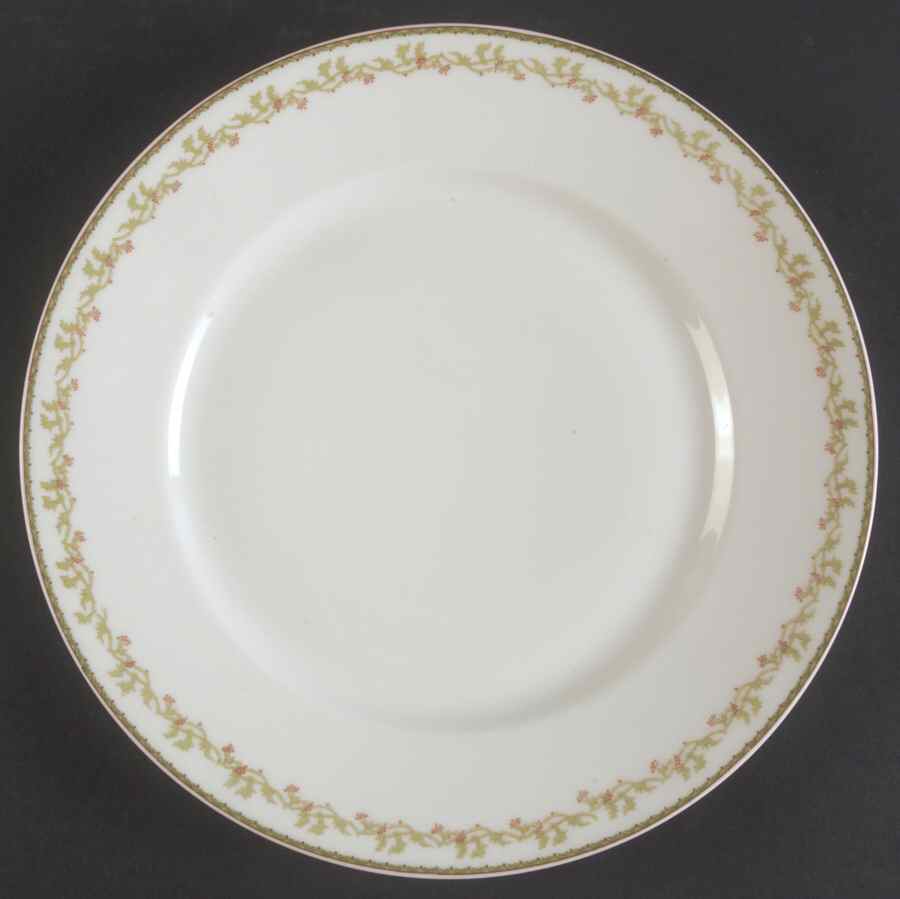 Schleiger 870-1 Dinner Plate by Haviland-1