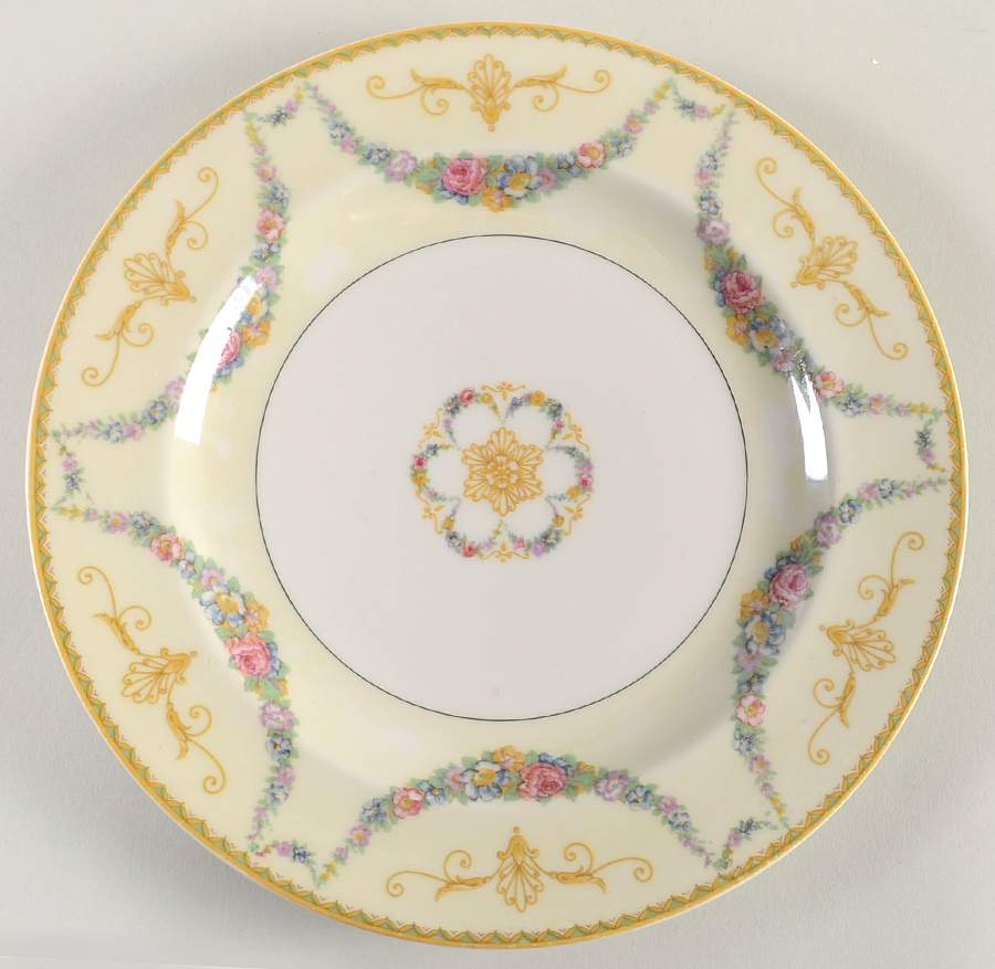 H14 Dinner Plate by Haviland-1