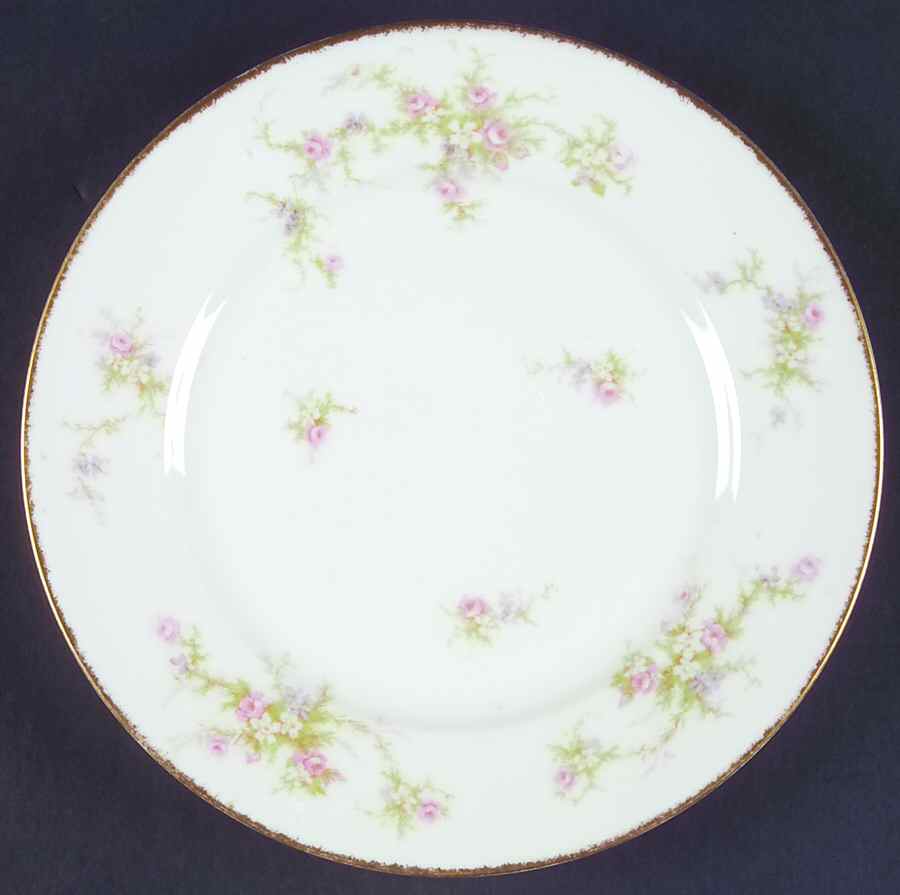 H147 Luncheon Plate by Haviland-1