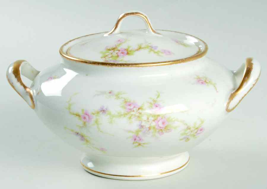 H147 Sugar Bowl & Lid by Haviland-1