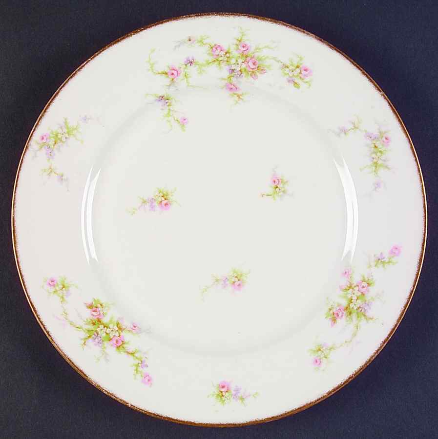 H147 Dinner Plate by Haviland-1